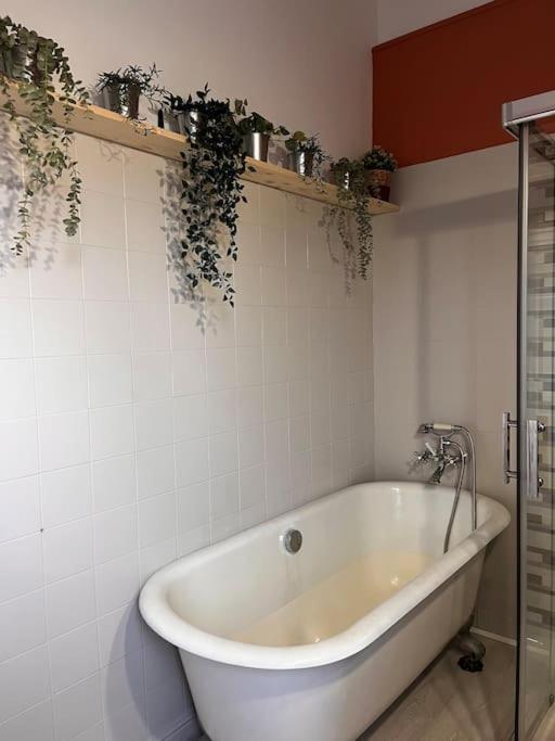Le L'islois- Park&piscine Holiday home L'Isle-sur-la-Sorgue